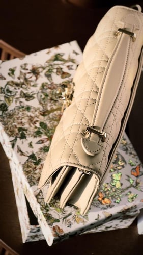 Dior Bag