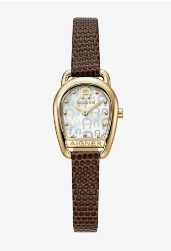 Aigner Brown and Gold 22 mm