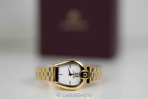 Aigner Pisa watch for women