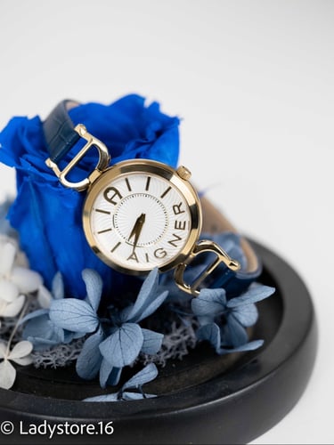 Aigner PAVIA GOLD-BLUE