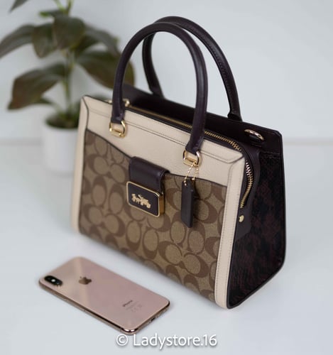 Coach Grace Carryall In Signature Canvas