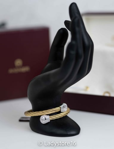 Aigner DOUBLE A-LOGO BANGLE Gold and Silver