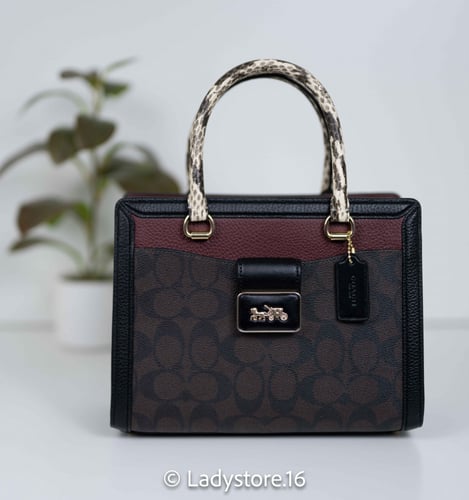 Coach Grace Carryall In Signature Canvas