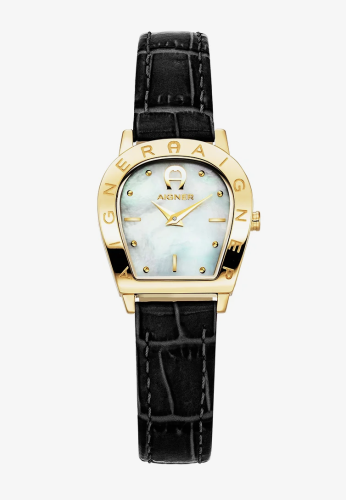 Aigner Aosta Brown and Black Watch