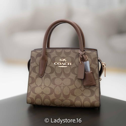 Coach Andrea Carryall Bag In Signature Canvas