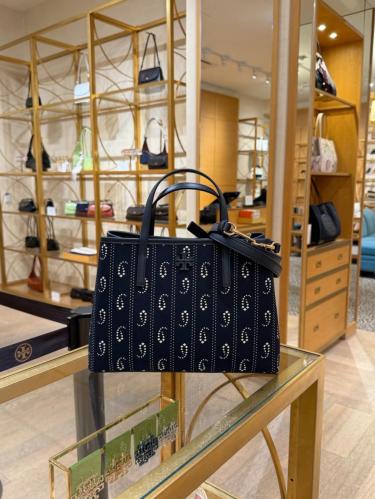Tory Burch Blake Bag