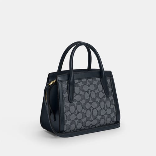Coach Andrea Carryall Bag In Signature Canvas