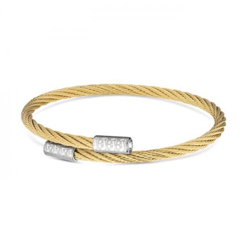 aigner bangle