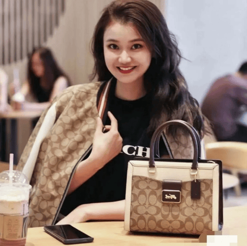 Coach Grace Carryall In Signature Canvas