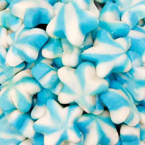 جلي نجوم البحر بطعم البلوبيري (100غ)