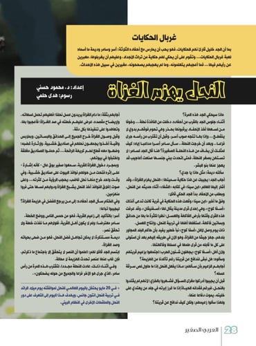 الاخطبوط الخجول