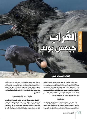 فلنصنع الأمل