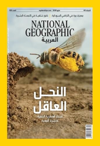 النحل العاقل