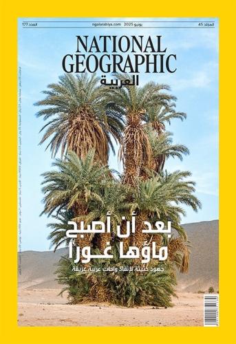 بعد أن أصبح ماؤها غورا .. جهود حثيثة لإنقاذ واحات...