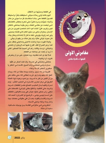 سنة جديدة 2022