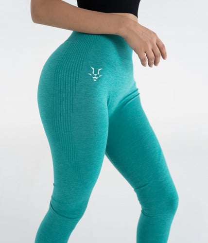 FLEX HIGH WAISTED LEGGINGS