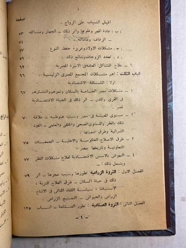 مشكلات المجتمع المصرى الحديث - ابراهيم عبد الجواد...