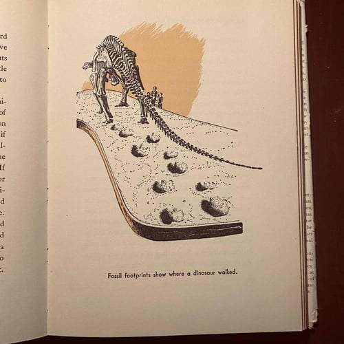 All about strange beasts in the past (P16)