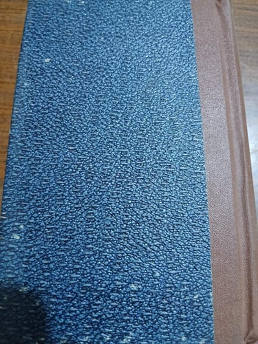 elizabeth seton et les commencements de leglise au...