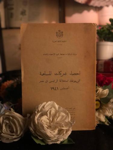 احصاء الشركة المساهمه التي يوجد استغلالها الرئيسي...