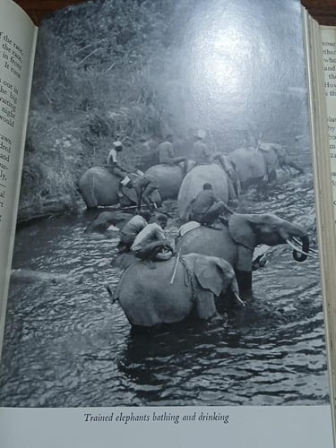 the african giant the story of a journey (E3)