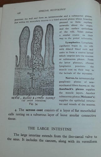 a manual of histology for medical students (P2)