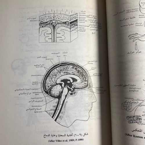 العلوم الحياتية-احسان محاسنة -QQ