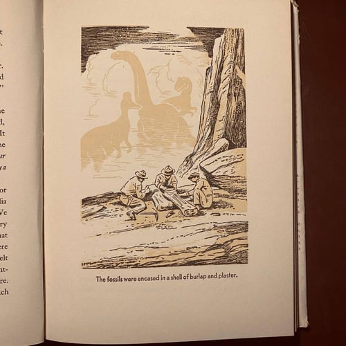 All about dinosaurs (P15)