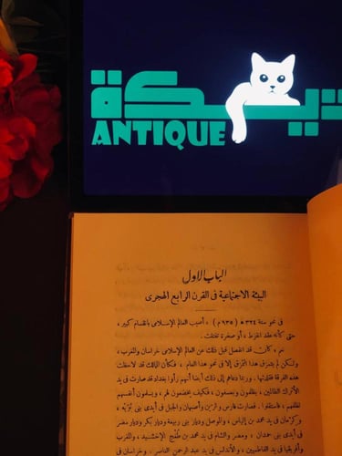 ظهر الاسلام (2ج)- احمد امين