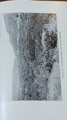 manual of tropical and subtropical fruits ( E16)