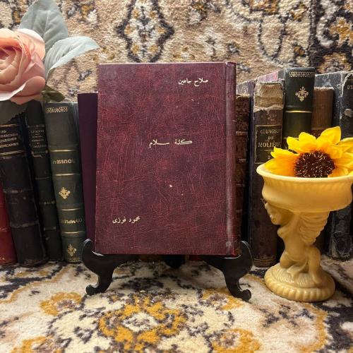 كلمة سلام صلاح جاهين - محمود فوزي