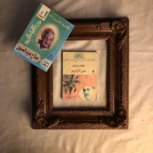 صفوة الشعر العربي