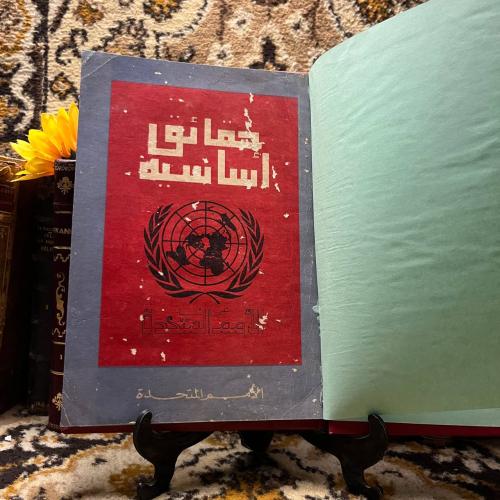 حقائق اساسية عن الأمم المتحدة(L7)