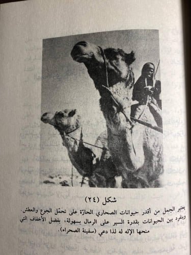 الصحاري و السهول و السهوب_ابراهيم حلمي غوري