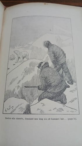 le robinson des glaces (T8)