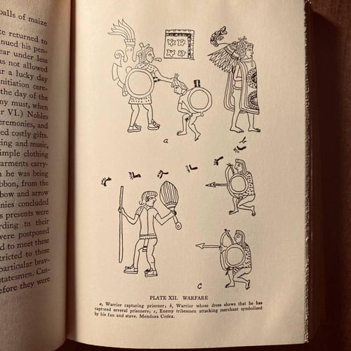 Mexico before Cortez - J. Eric Thomfson (Q7)