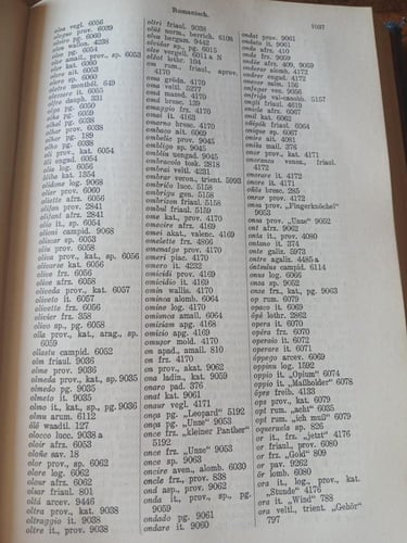 romanisches etymo logisches worterbuch(P1)