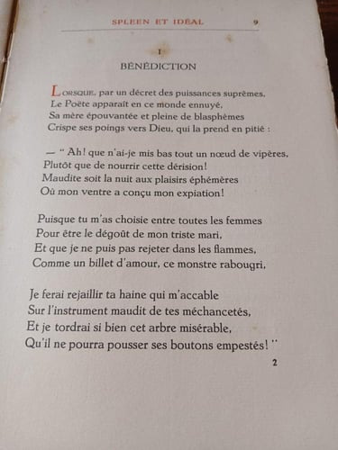 les fleurs du mal(E13)