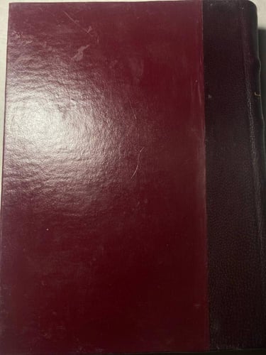 الشاعر عبد الحميد الديب - عبد الرحمن عثمان (N11)