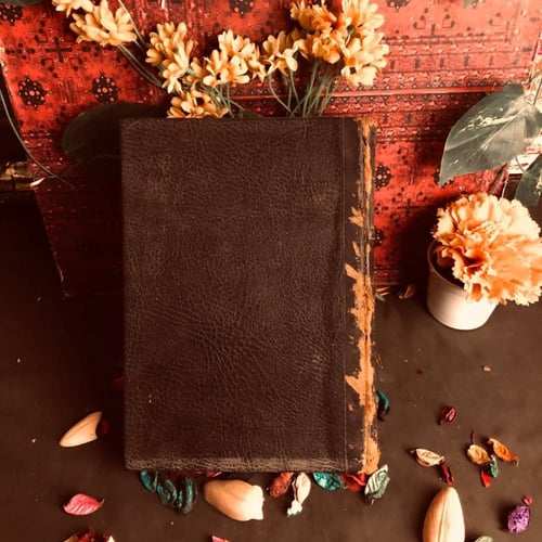 قيود الدعوى الجنائية بين النظرية والتطبيق - عزت ال...