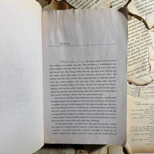 My sister`s Keeper - Jodi Picoult - P9