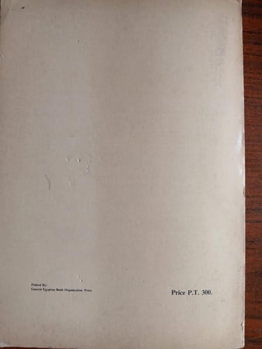 muslim naval organisation in the eastern mediterra...