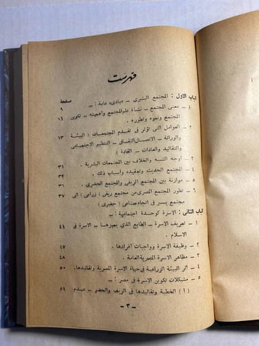 مشكلات المجتمع المصرى الحديث - ابراهيم عبد الجواد...