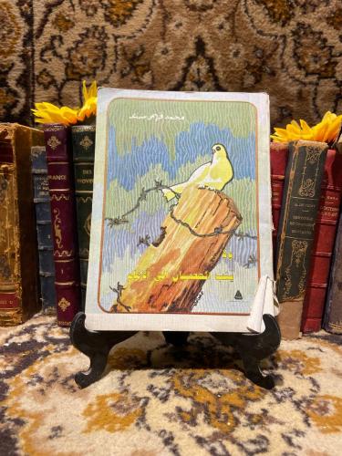 ولا يثبت الحصان الي الامام-محمد فهمي-H2