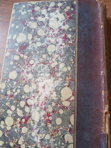 histoire de marie antoinette (P1)