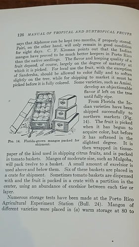 manual of tropical and subtropical fruits ( E16)