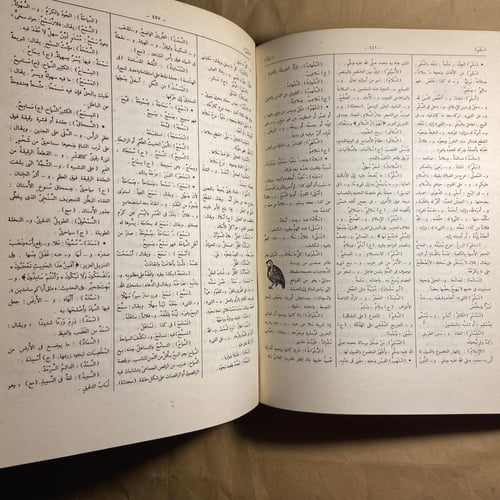 المعجم الوسيط٢ج-إبراهيم أنيس