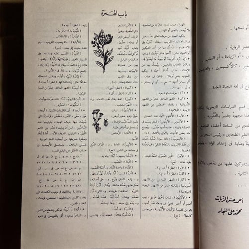 المعجم الوسيط٢ج-إبراهيم أنيس