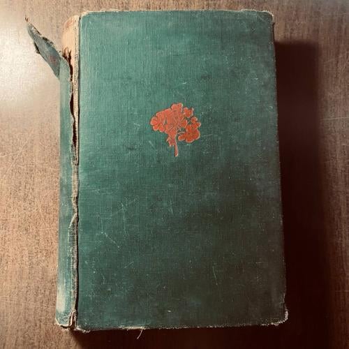 To my love - Charles Dickens (P16)