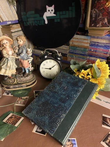 بوليفار سيرته - وديع الضبع